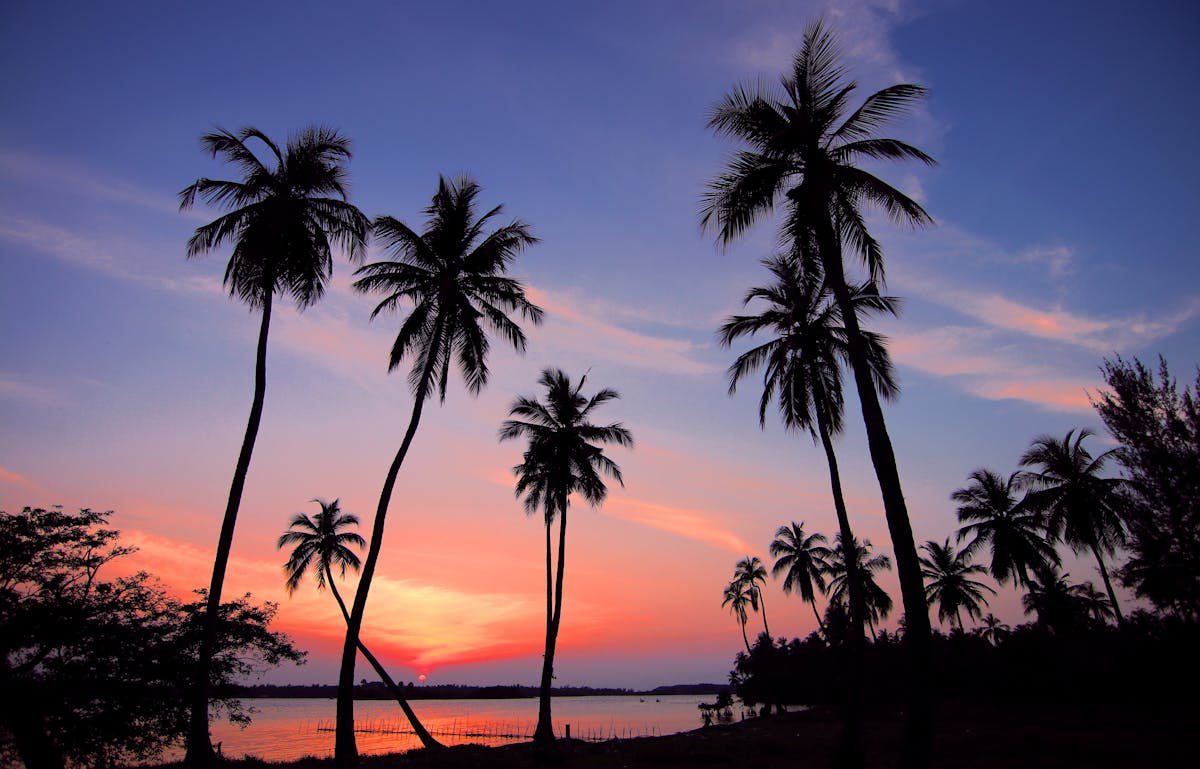 Goa