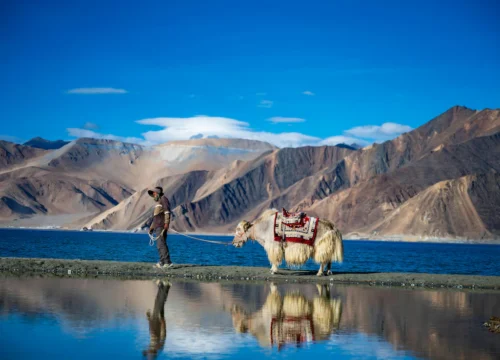 Leh Ladakh Bike Trip 7 Nights 8 Days